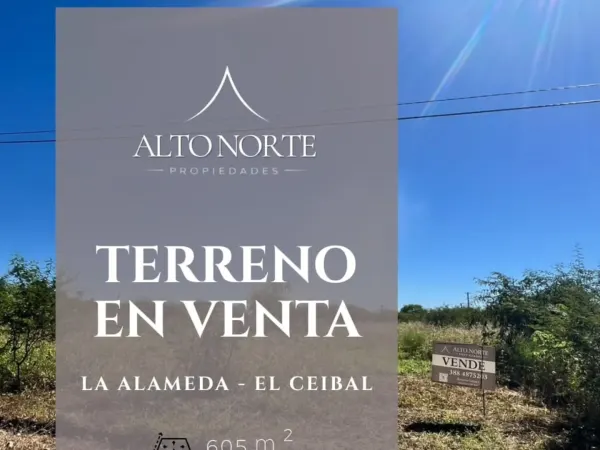 Terreno en Loteo La Alameda